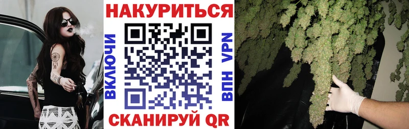 Купить наркотики сайты Жуков Лсд 25 Гашиш ГЕРОИН