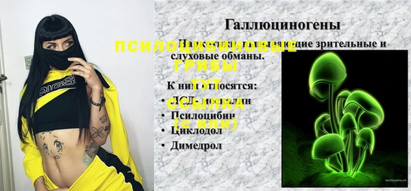 таблы Рославль