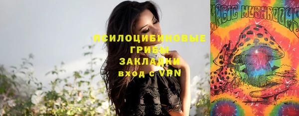 прущие крисы Алексеевка